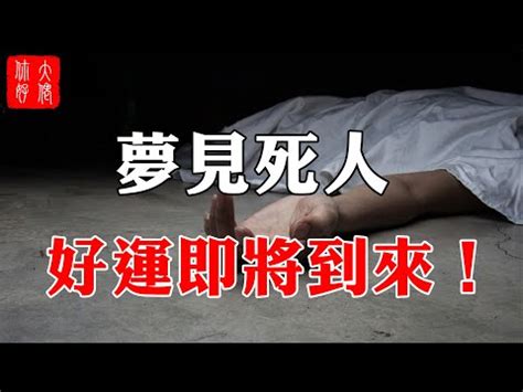 夢見鴿子死掉|解夢鴿子